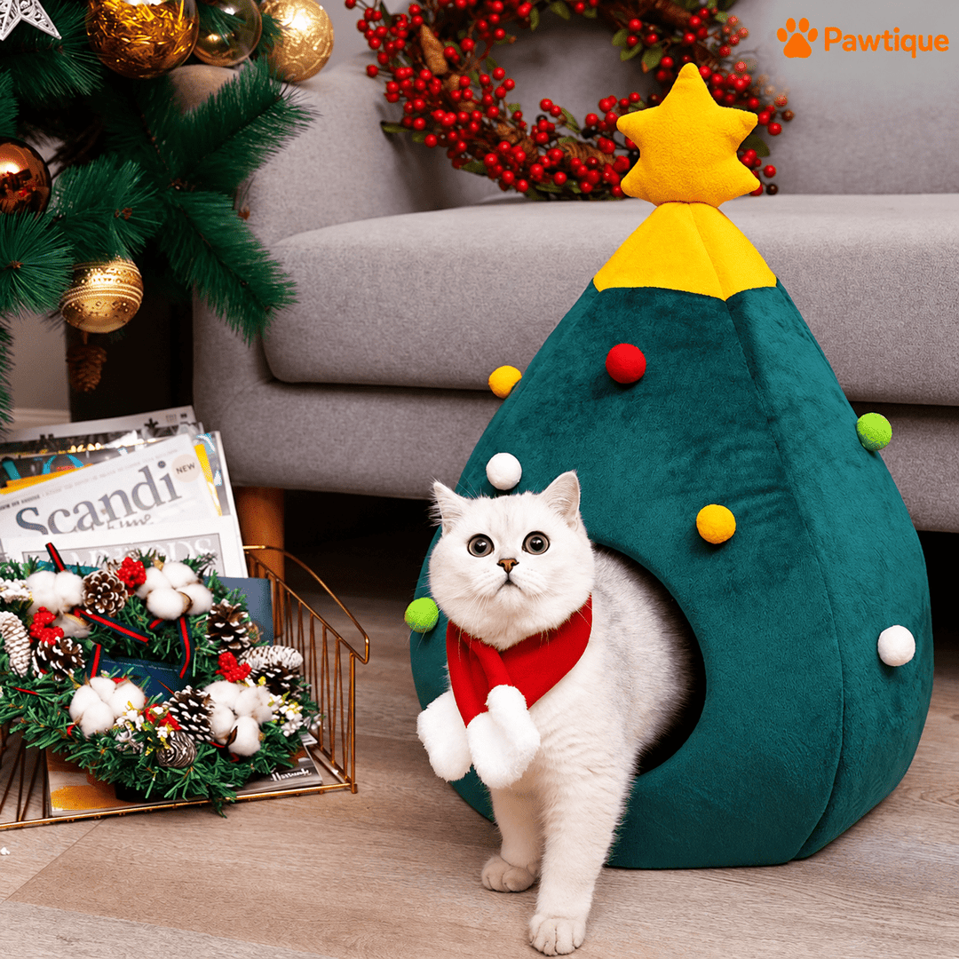 White cat stepping out through the Christmas Tree Pet Cave&