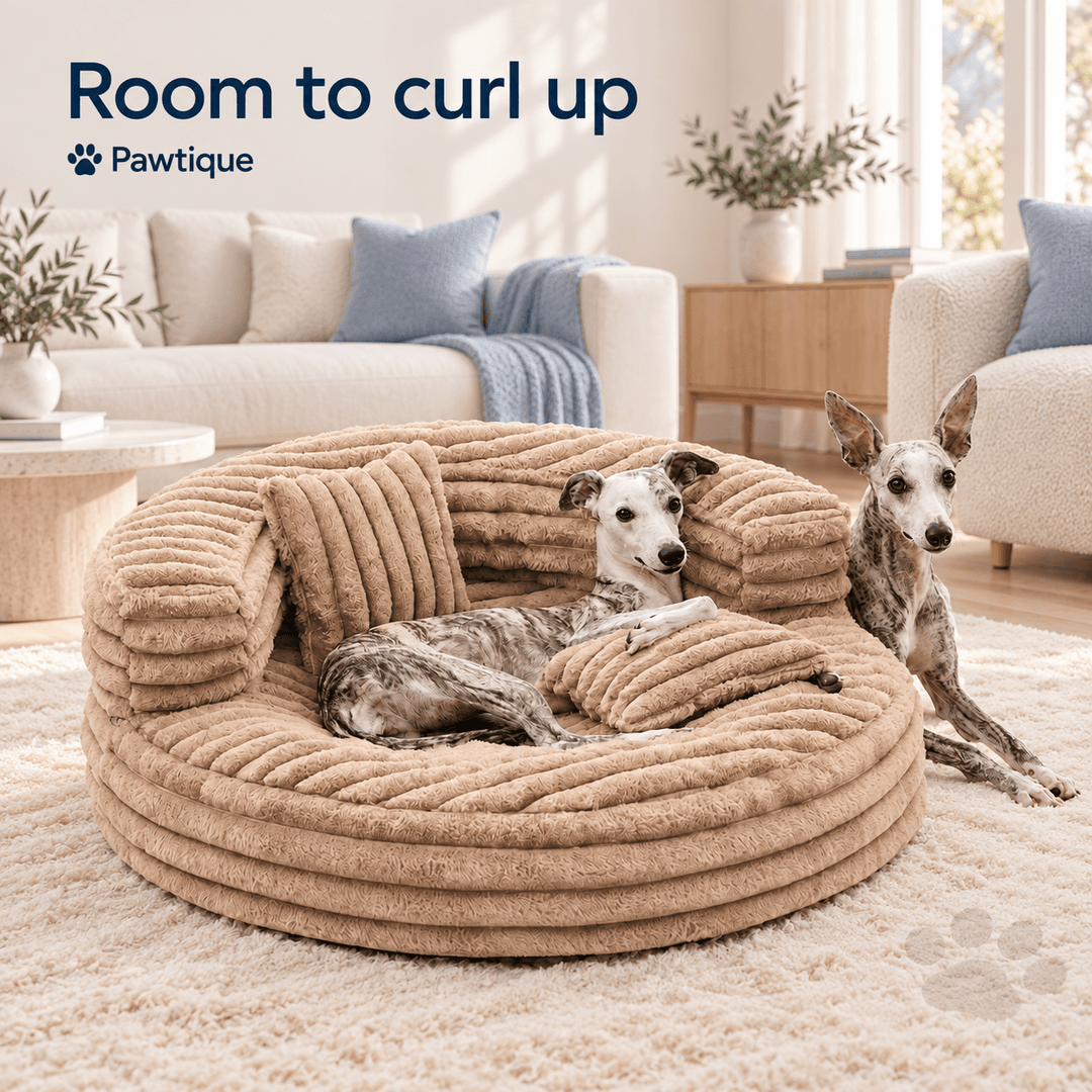 Pawtique CloudCove™ Ribbed Round Bolster Dog Bed with 2 Pillows - Pawtique