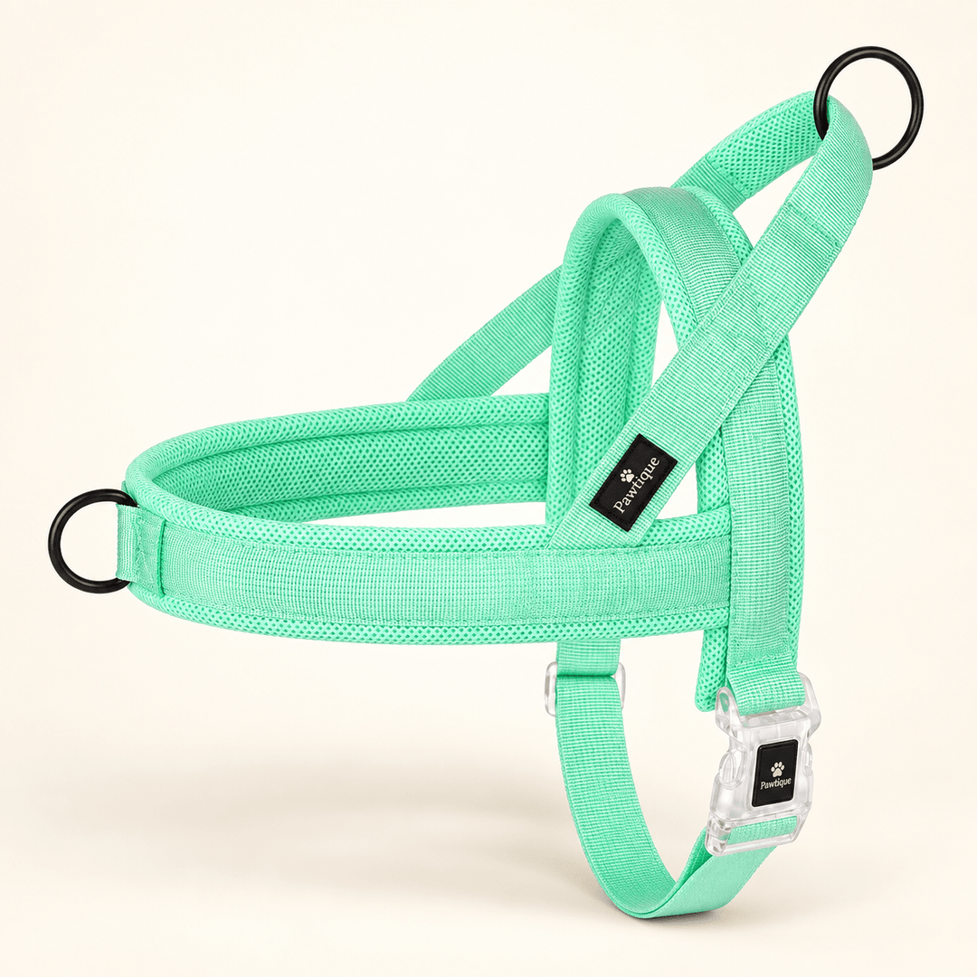 Pawtique CloudLoop™ Soft Padded Dog Harness - Pawtique