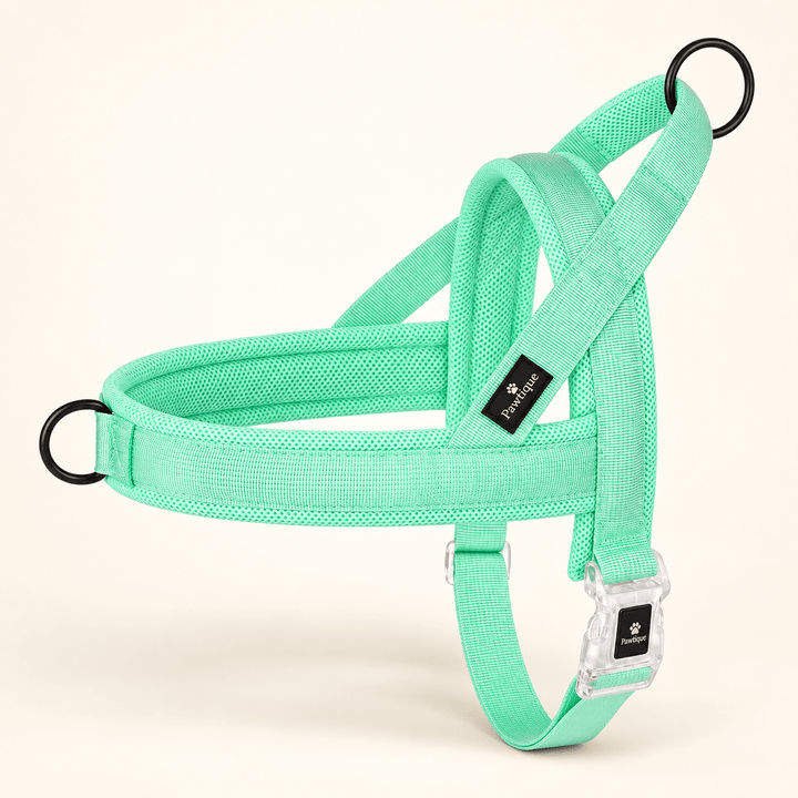 Pawtique CloudLoop™ Soft Padded Dog Harness - Pawtique