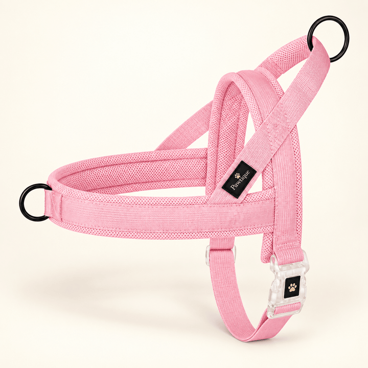 Pawtique CloudLoop™ Soft Padded Dog Harness - Pawtique