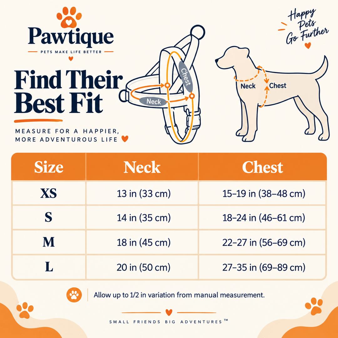 Pawtique CloudLoop™ Soft Padded Dog Harness - Pawtique