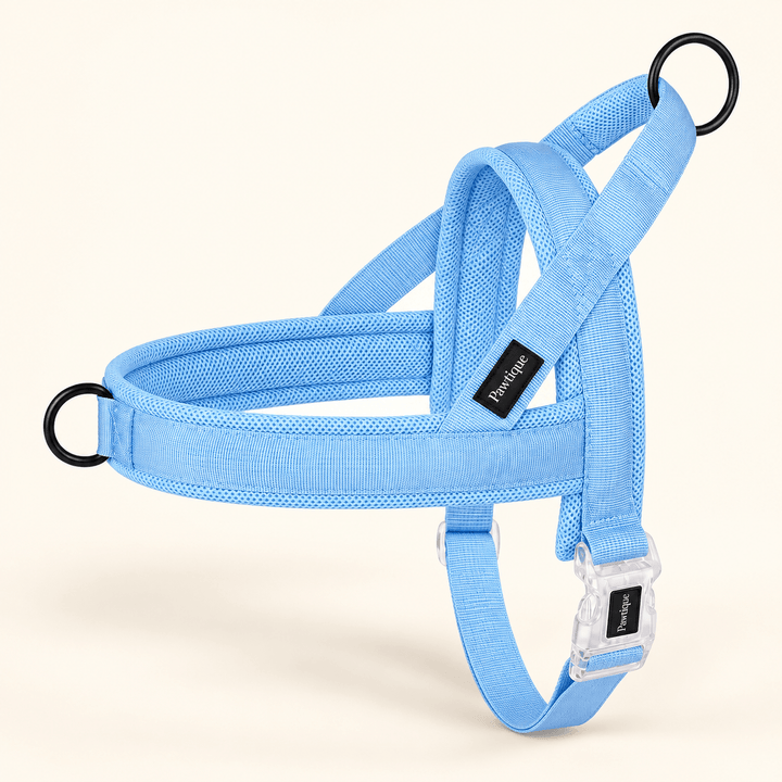 Pawtique CloudLoop™ Soft Padded Dog Harness - Pawtique