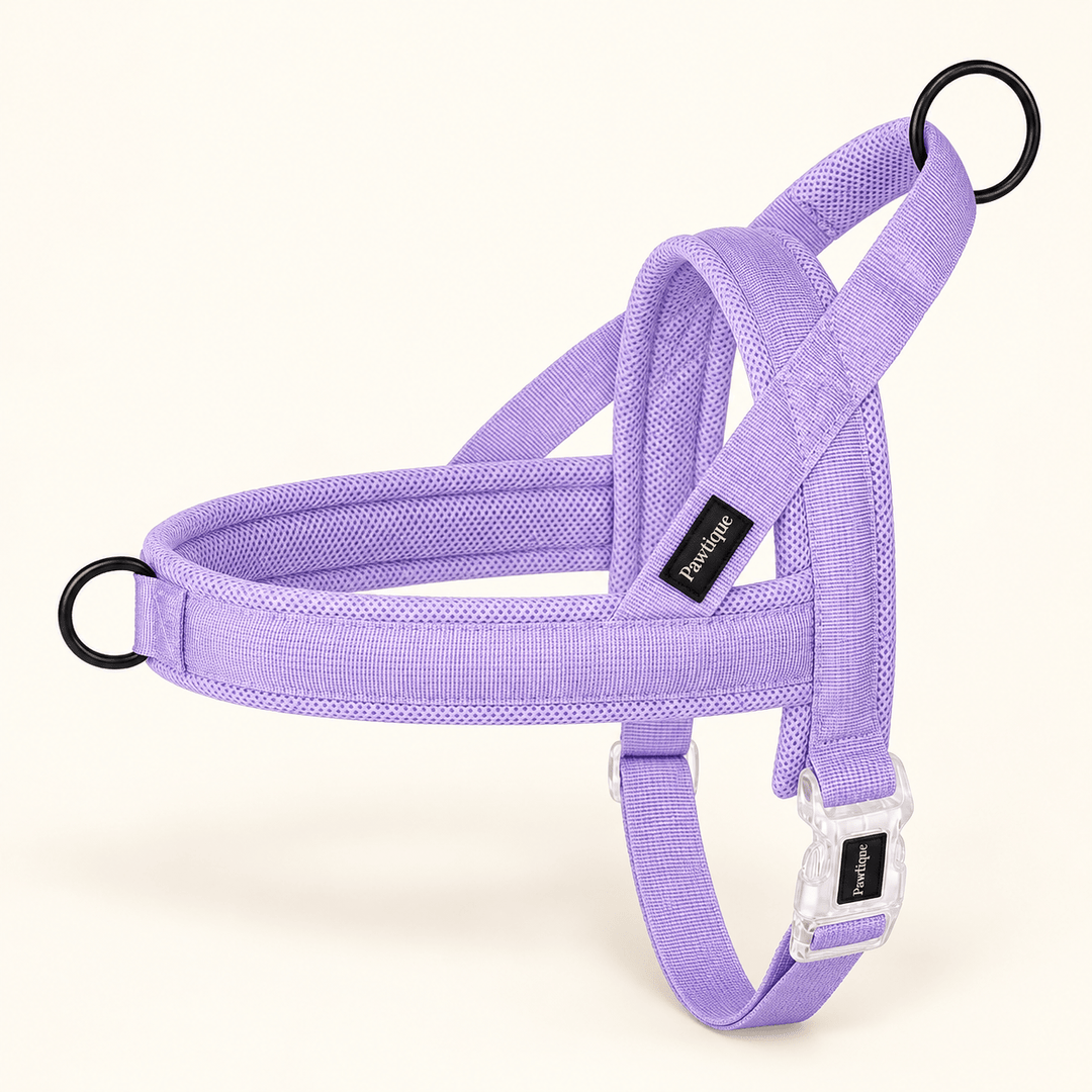 Pawtique CloudLoop™ Soft Padded Dog Harness - Pawtique