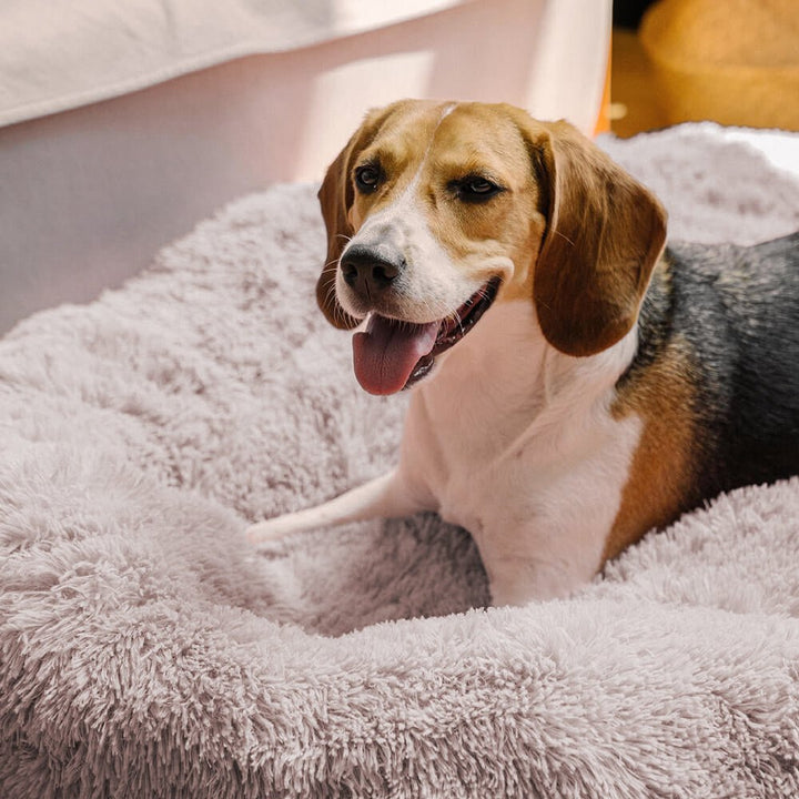 Pawtique CloudNest™ Fluffy Donut Dog Bed - Pawtique