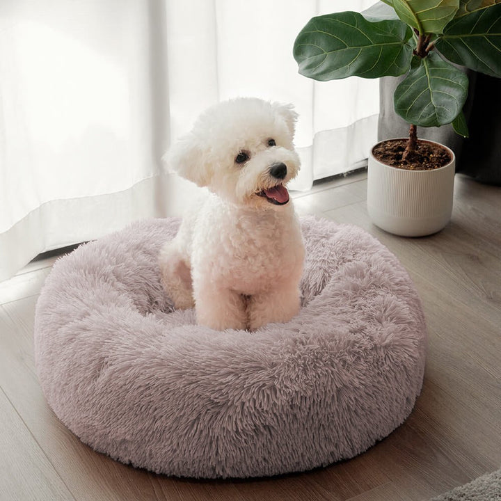 Pawtique CloudNest™ Fluffy Donut Dog Bed - Pawtique