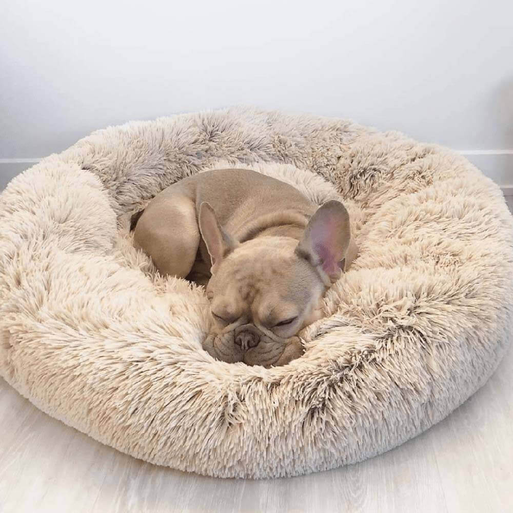 Pawtique CloudNest™ Fluffy Donut Dog Bed - Pawtique