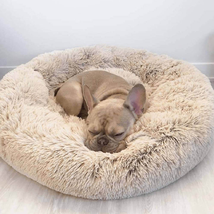 Pawtique CloudNest™ Fluffy Donut Dog Bed - Pawtique