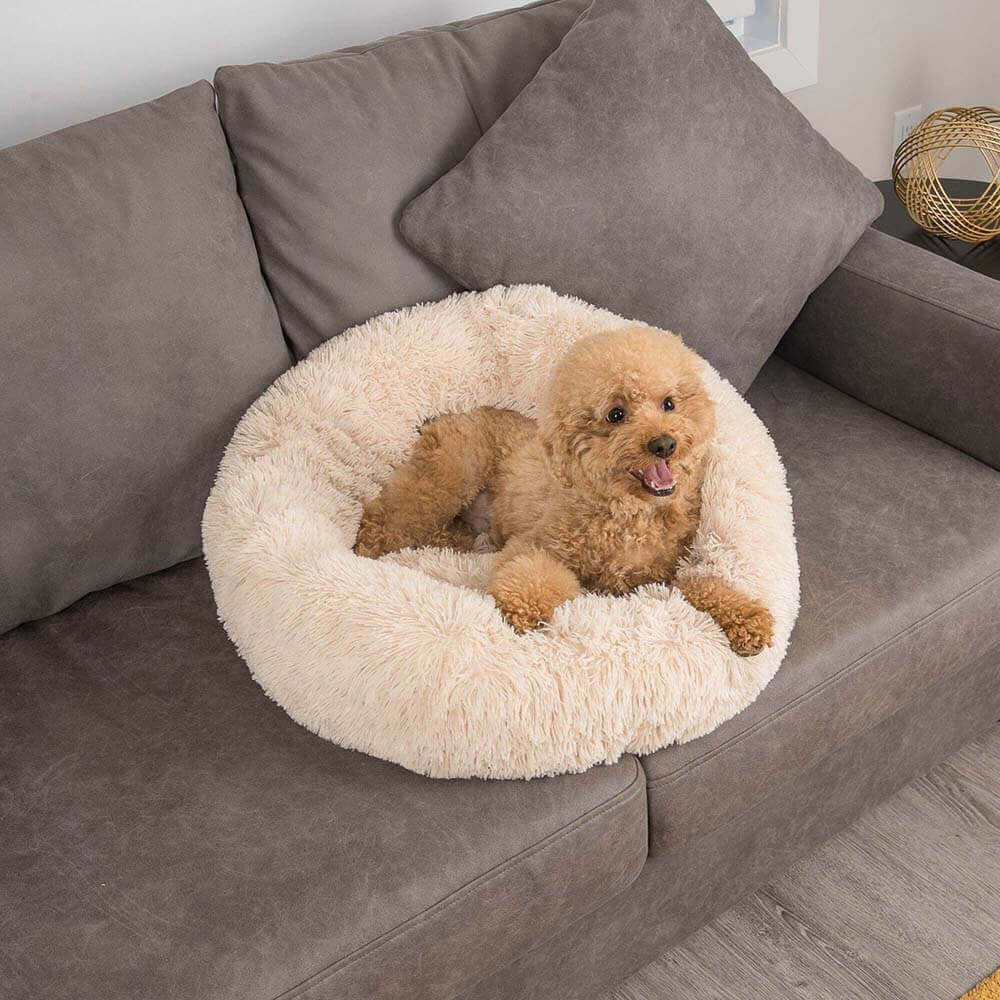 Pawtique CloudNest™ Fluffy Donut Dog Bed - Pawtique