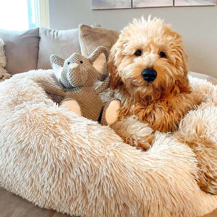 Pawtique CloudNest™ Fluffy Donut Dog Bed - Pawtique