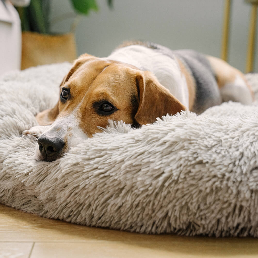 Pawtique CloudNest™ Fluffy Donut Dog Bed - Pawtique