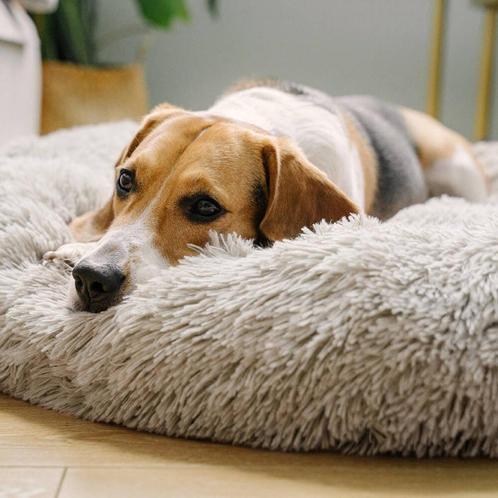 Pawtique CloudNest™ Fluffy Donut Dog Bed - Pawtique