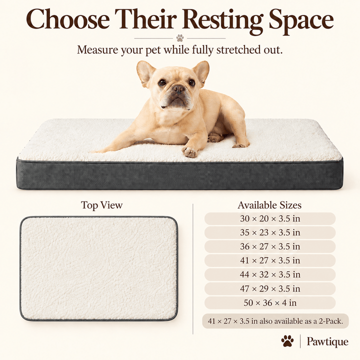 Pawtique CloudRest™ Orthopedic Washable Dog Bed - Pawtique