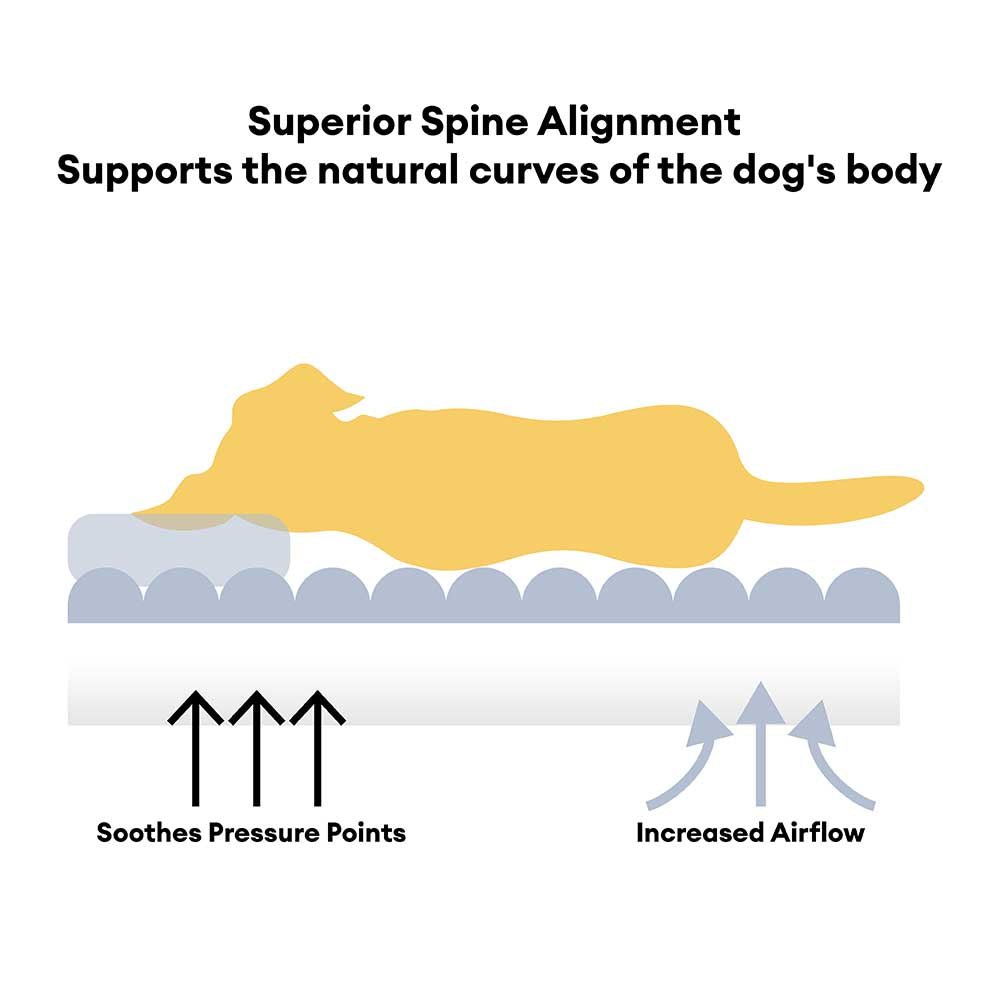 Pawtique CloudyNapper™ Orthopedic Bolster Dog Bed - Pawtique