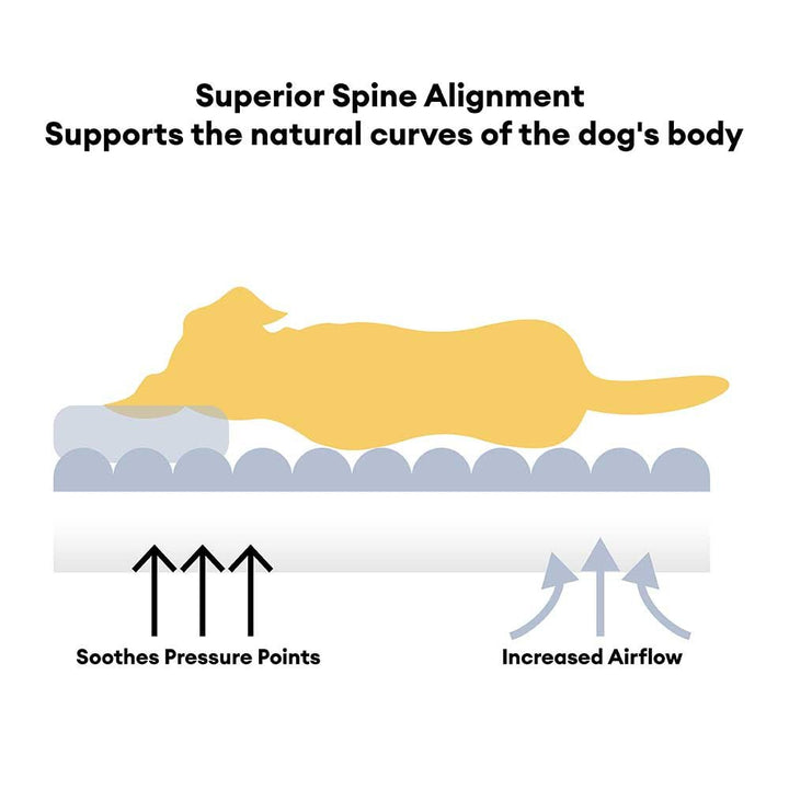 Pawtique CloudyNapper™ Orthopedic Bolster Dog Bed - Pawtique