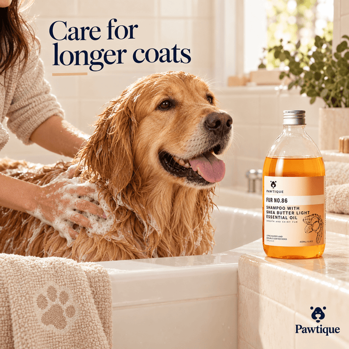 Pawtique CoatMatch™ Pet Shampoo – 450 ml - Pawtique