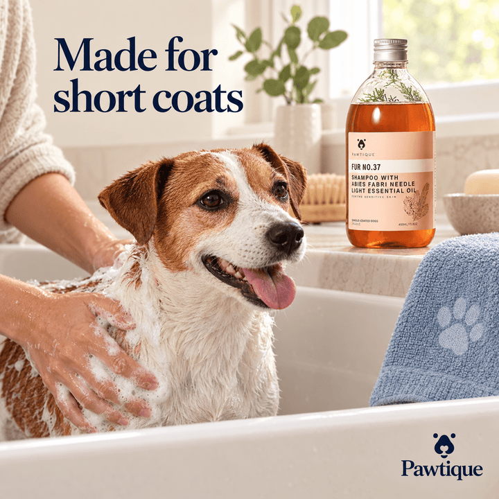 Pawtique CoatMatch™ Pet Shampoo – 450 ml - Pawtique