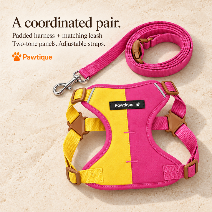 ColorBlock two-tone padded harness and matching pink leash with brown buckles