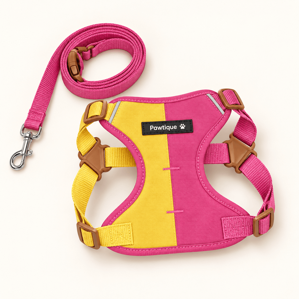 Pawtique ColorBlock™ Padded Harness & Leash Set - Pawtique