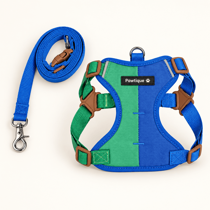 Pawtique ColorBlock™ Padded Harness &amp; Leash Set - Pawtique