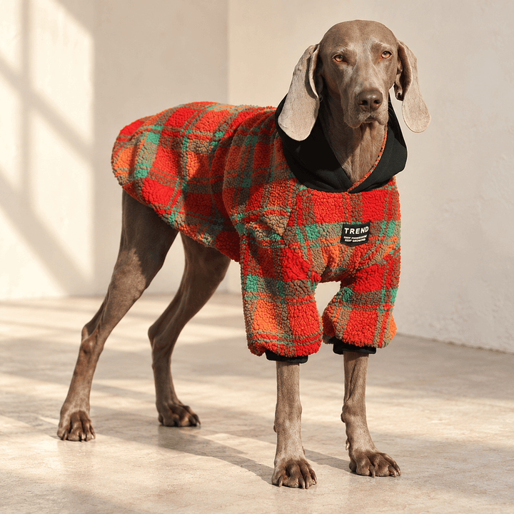 Pawtique Colorfield Patterned Dog Hoodie - Pawtique