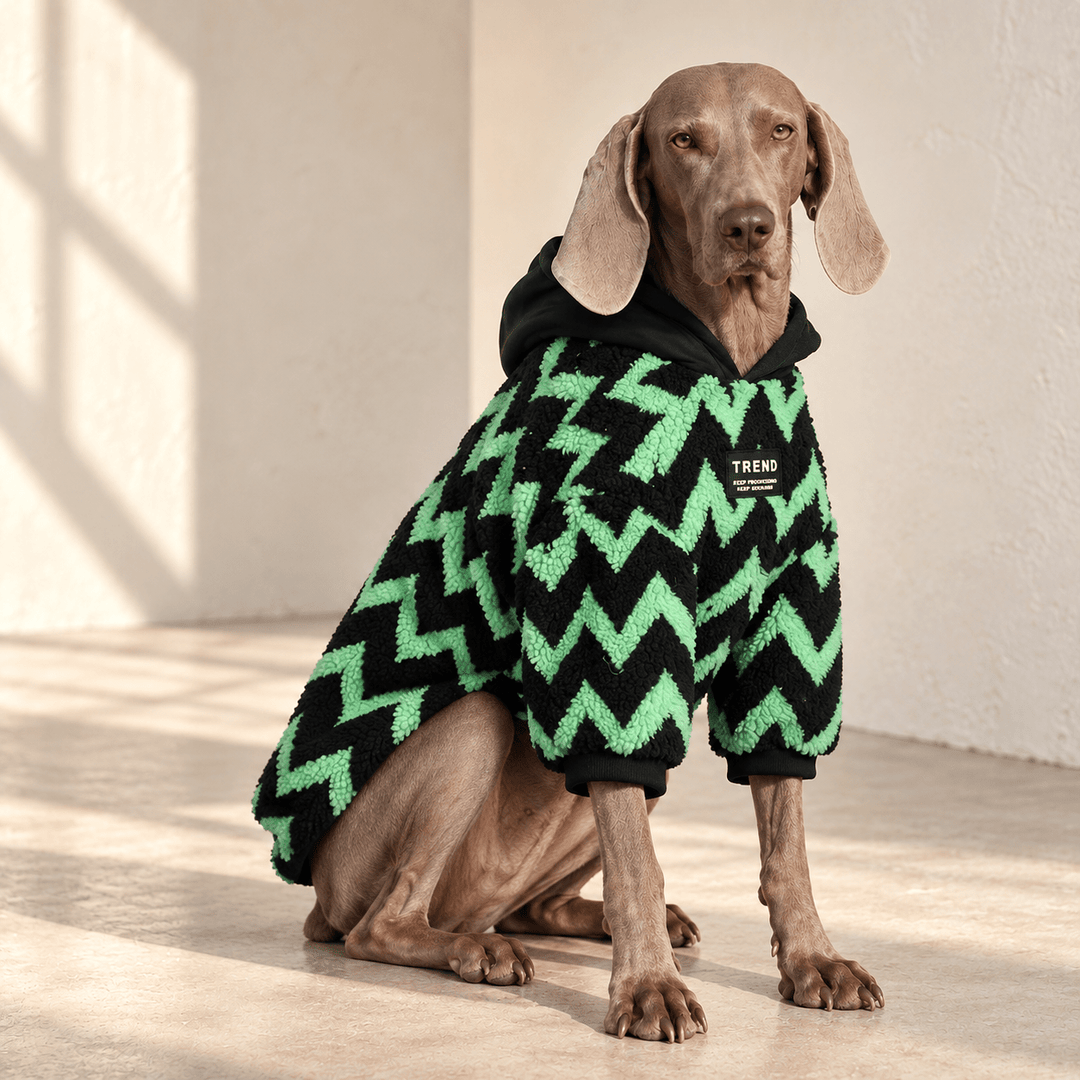 Pawtique Colorfield Patterned Dog Hoodie - Pawtique