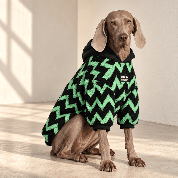 Pawtique Colorfield Patterned Dog Hoodie - Pawtique