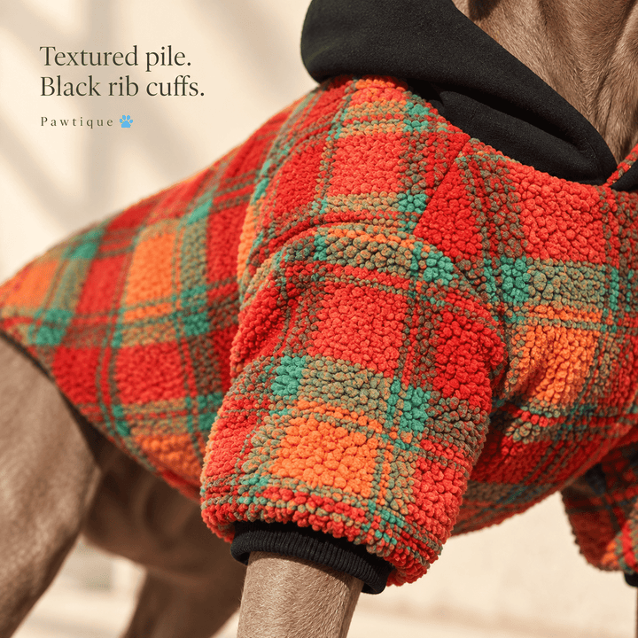 Pawtique Colorfield Patterned Dog Hoodie - Pawtique