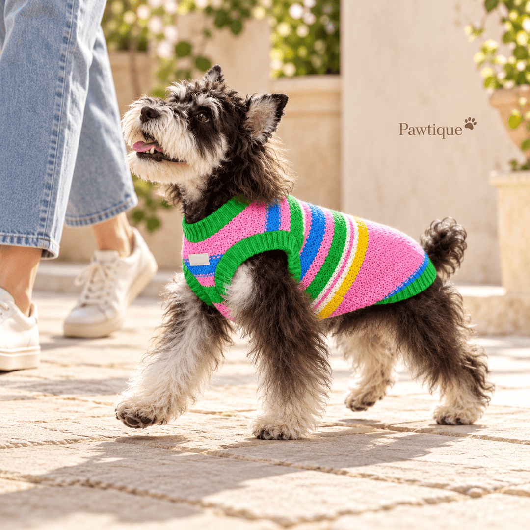 Pawtique Colorplay Striped Dog Sweater Vest - Pawtique