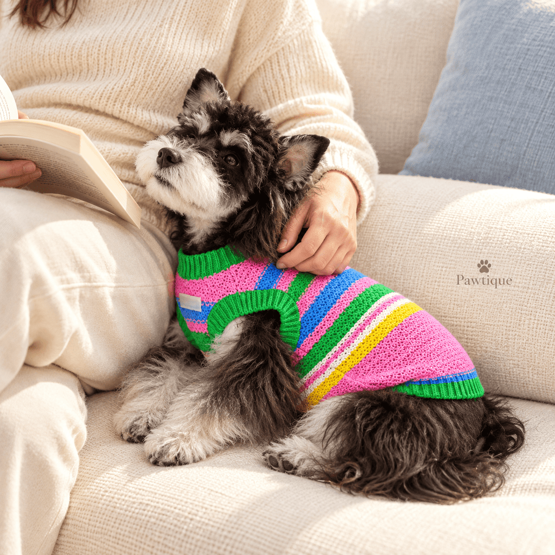 Pawtique Colorplay Striped Dog Sweater Vest - Pawtique
