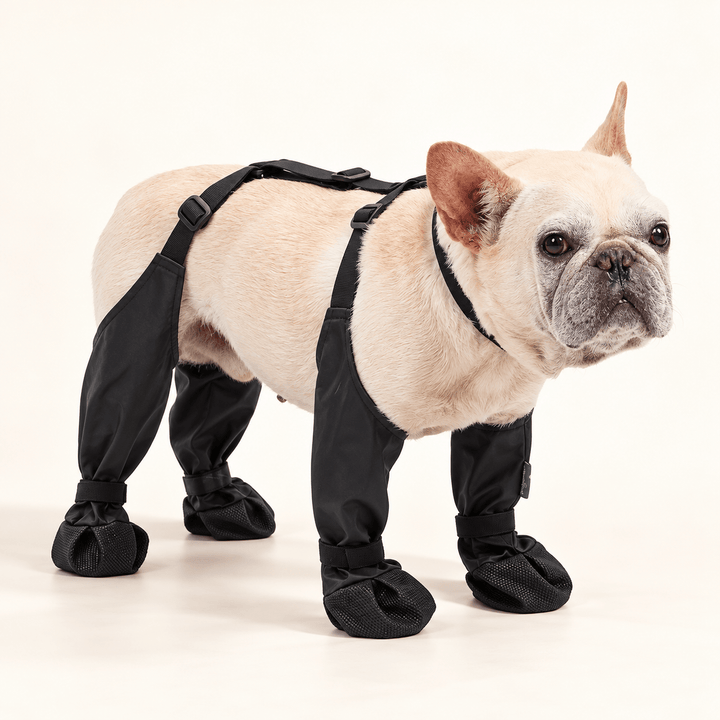 Pawtique Connected Dog Leggings - Pawtique