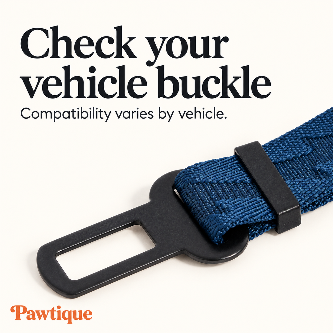 Seat-belt tongue detail; vehicle buckle compatibility must be checked