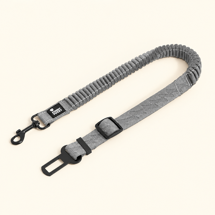 Light gray CoolPaw dog car tether with black clip and seat-belt tongue