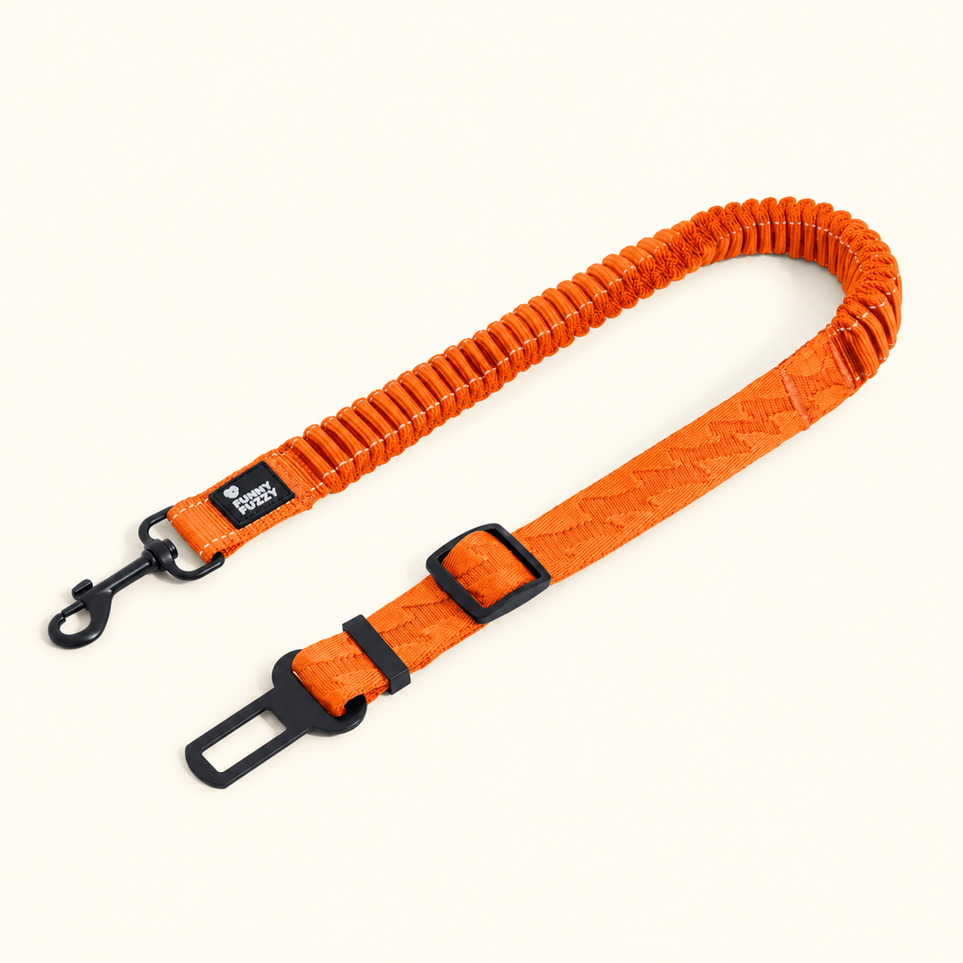 Orange CoolPaw dog car tether with black clip and seat-belt tongue