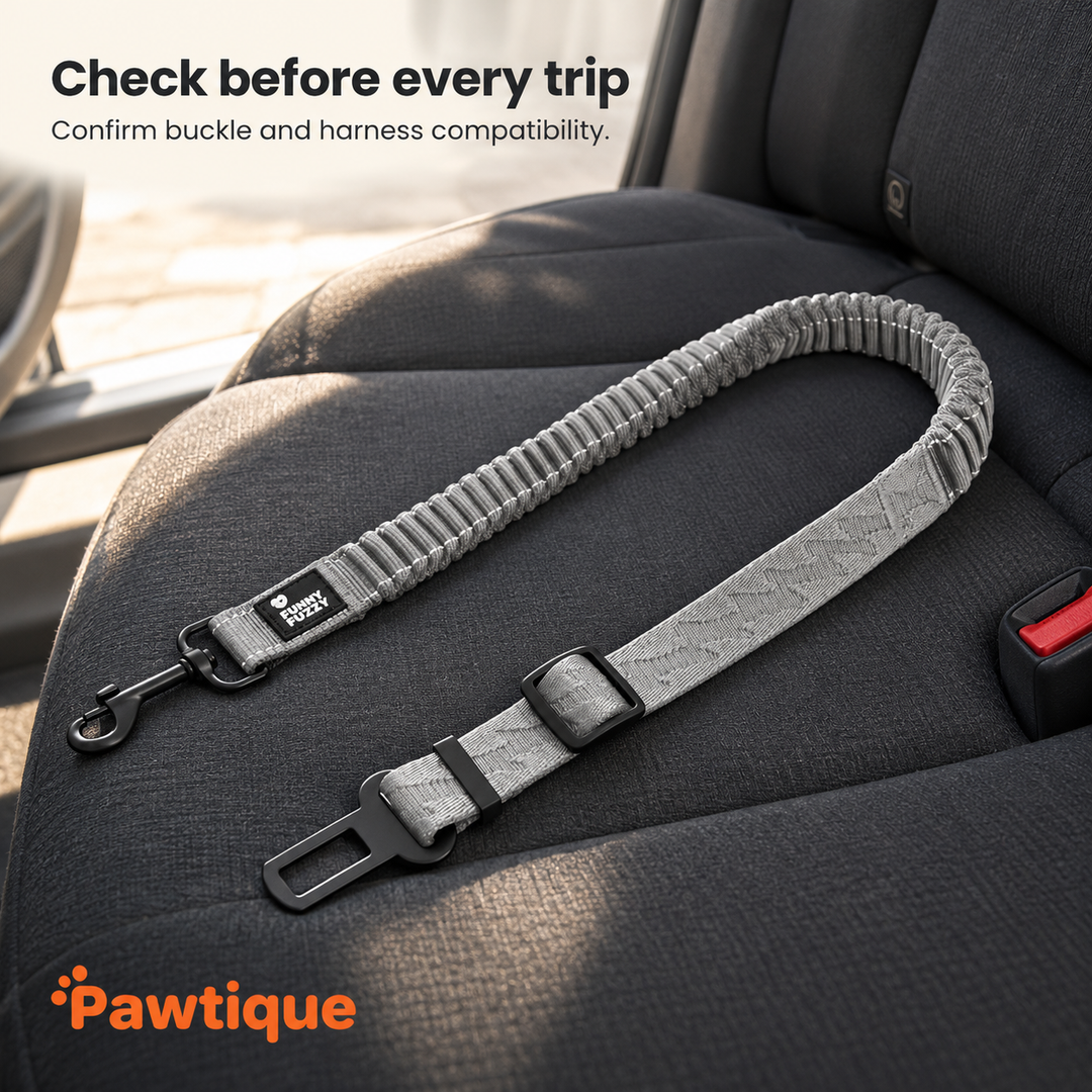 Light gray CoolPaw tether unconnected on a parked vehicle rear seat