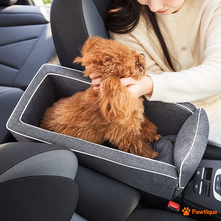 Caregiver comforting a small dog in the Gray CoPilot seat in a parked car