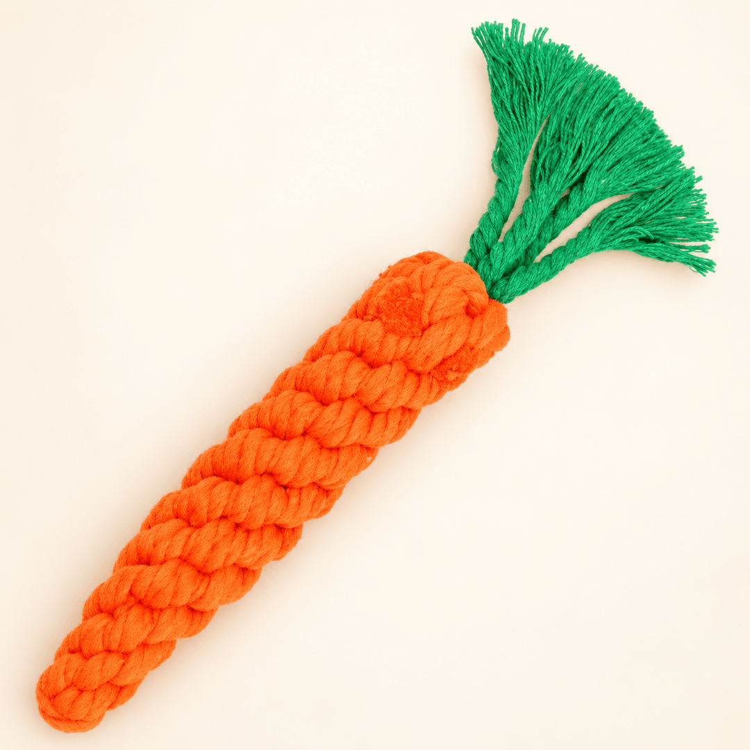 Pawtique Corduroy Animal &amp; Rope Dog Toys - Pawtique