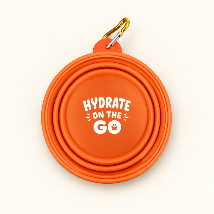 Pawtique orange travel bowl folded with white HYDRATE ON THE GO print and gold-colored clip