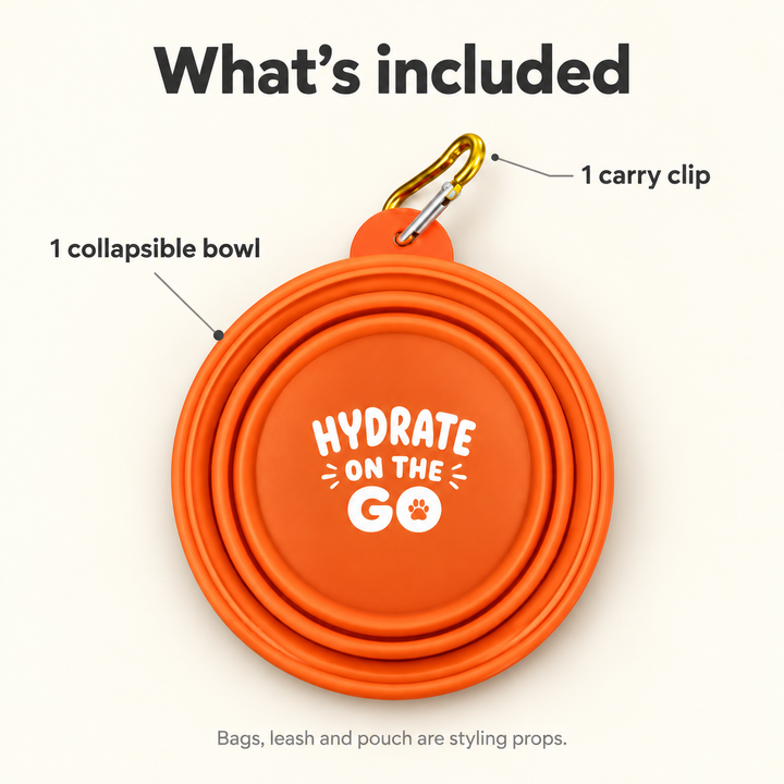 Included: one collapsible orange bowl and one gold-colored carry clip; other lifestyle accessories are props