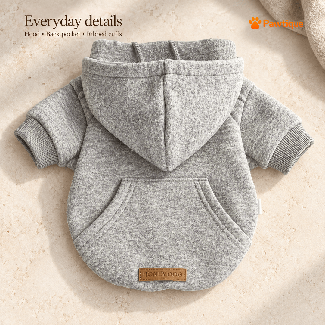 Gray Daylight Dog Hoodie showing hood, back pocket and ribbed cuffs