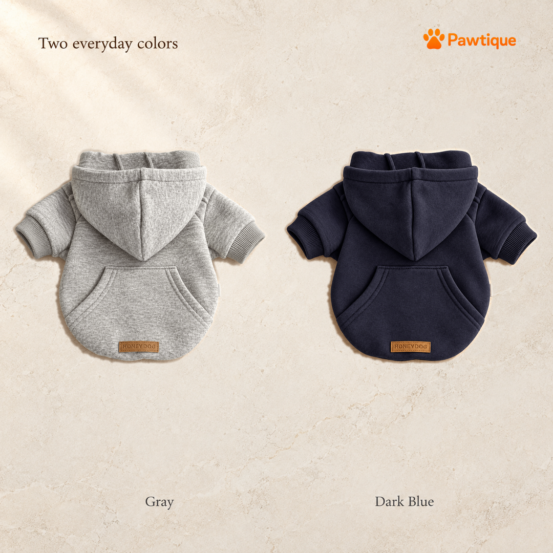 Daylight Dog Hoodie in Gray and Dark Blue