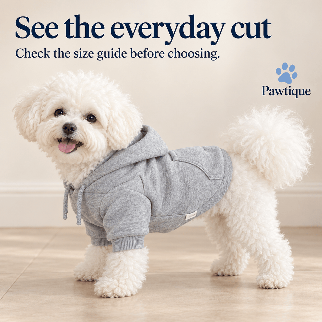Pawtique Daylight Dog Hoodie - Pawtique