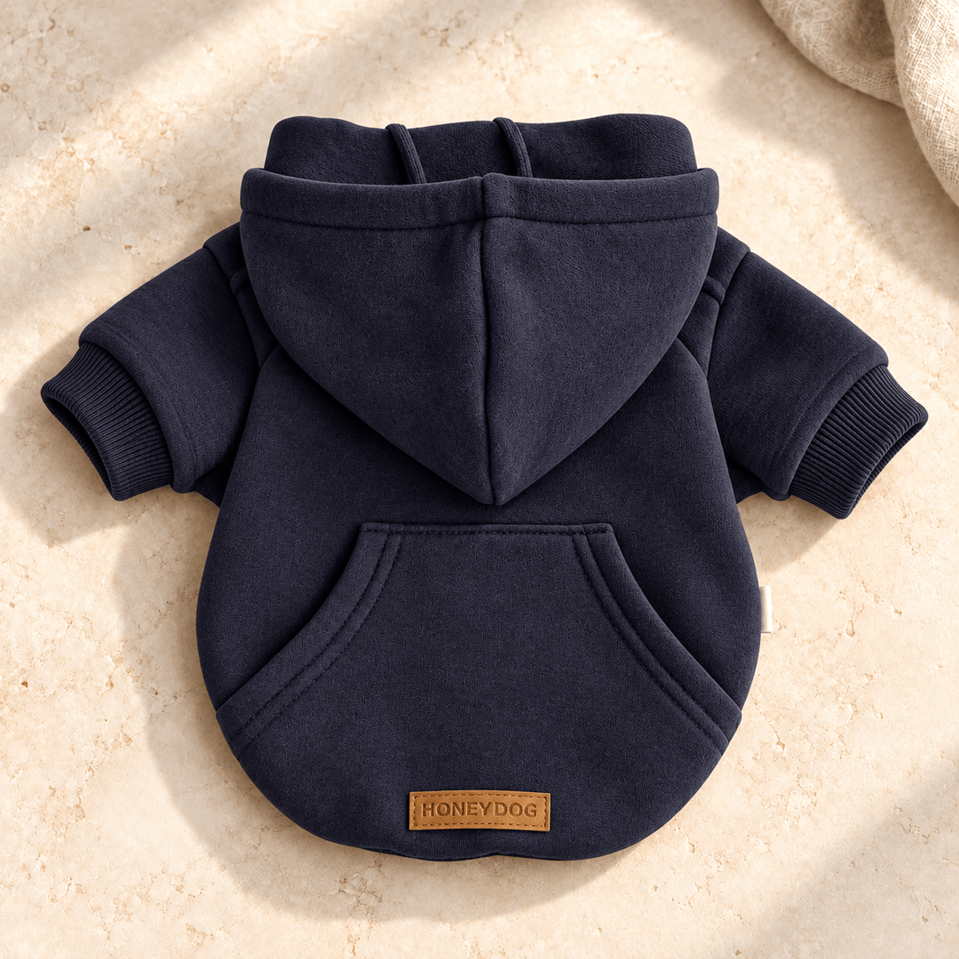 Pawtique Daylight Dog Hoodie - Pawtique