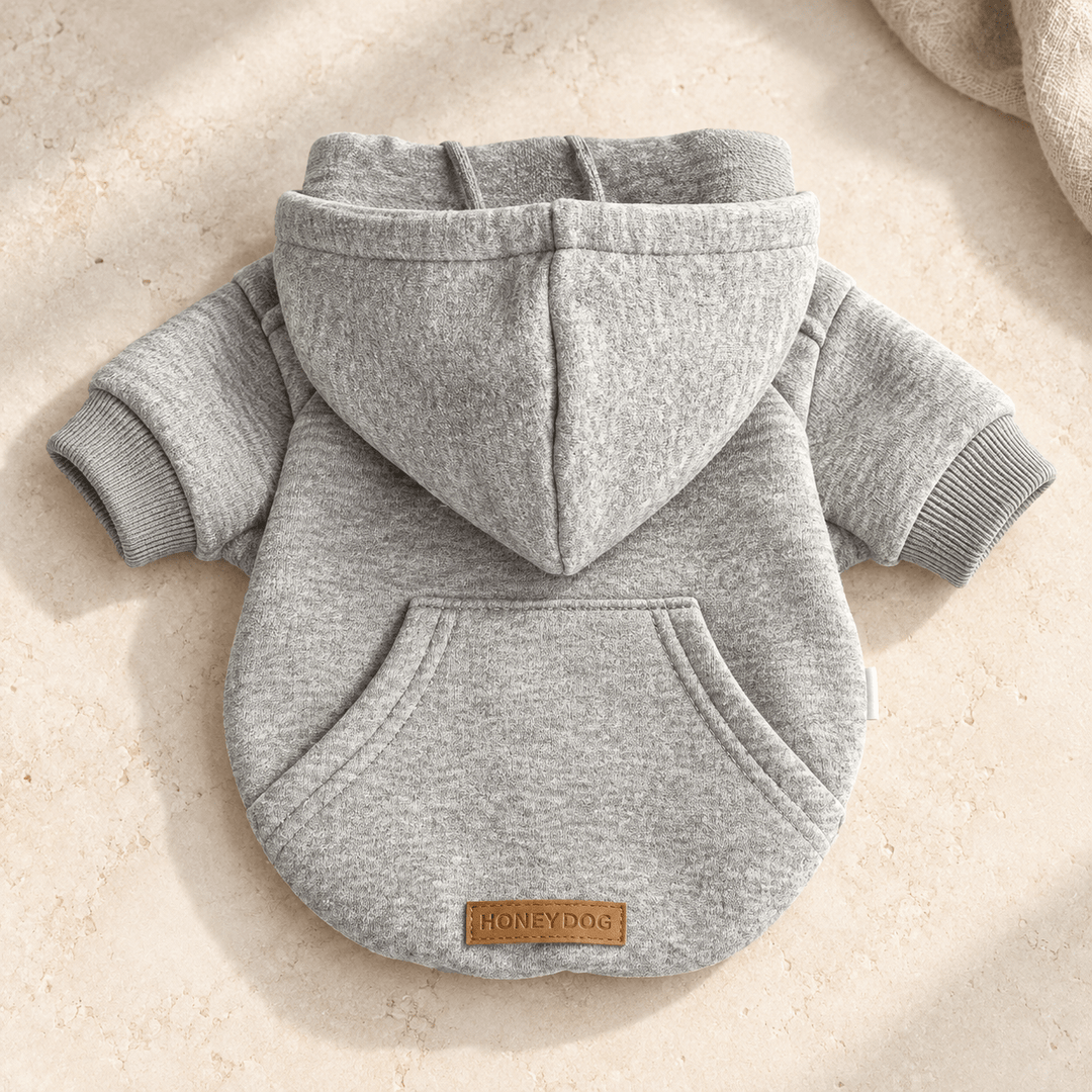 Pawtique Daylight Dog Hoodie - Pawtique