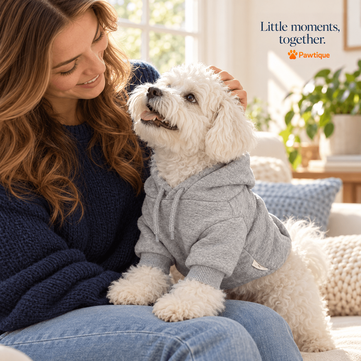 Dog wearing the Gray Daylight Dog Hoodie sitting with its owner