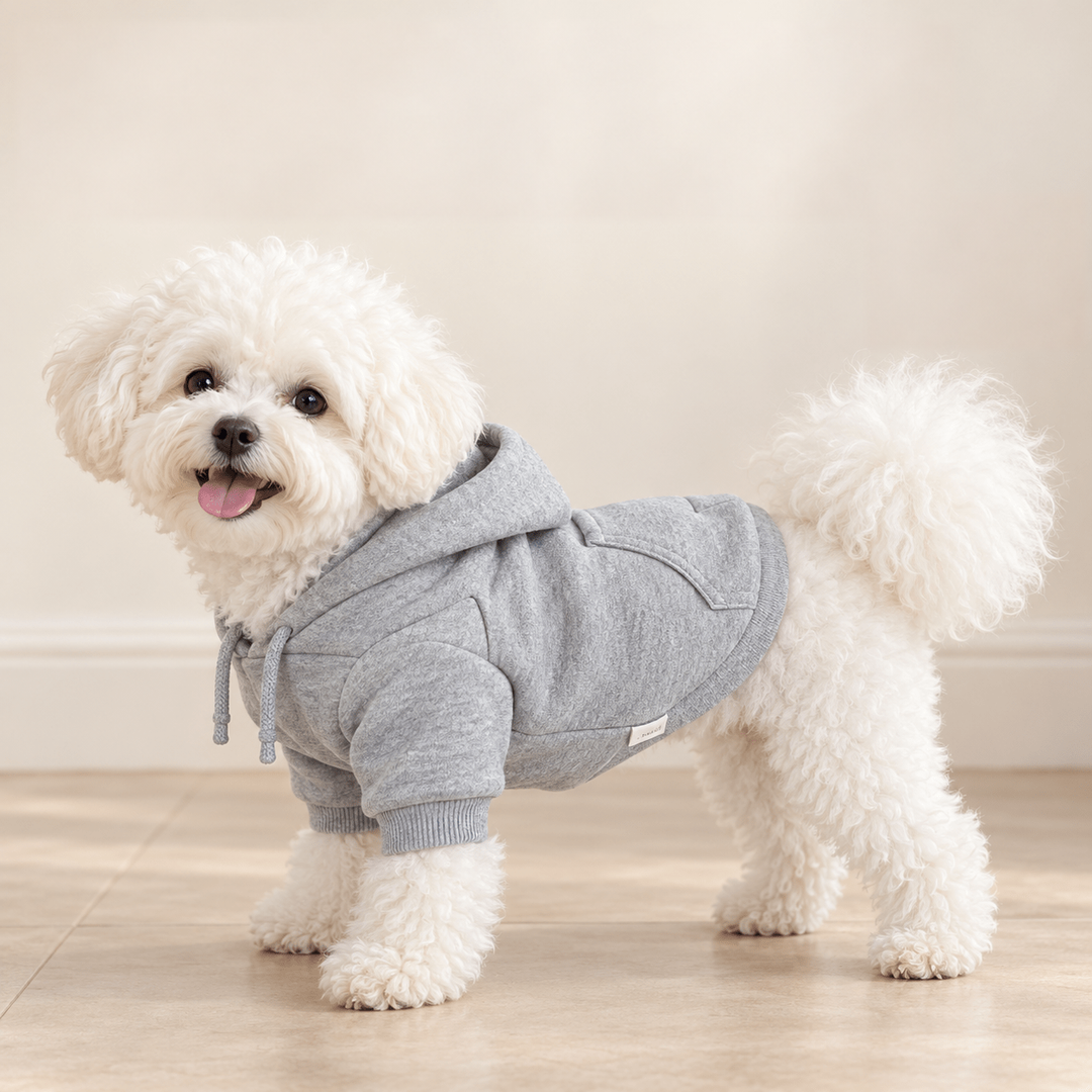 Gray Pawtique Daylight Dog Hoodie shown on a dog against a cream background