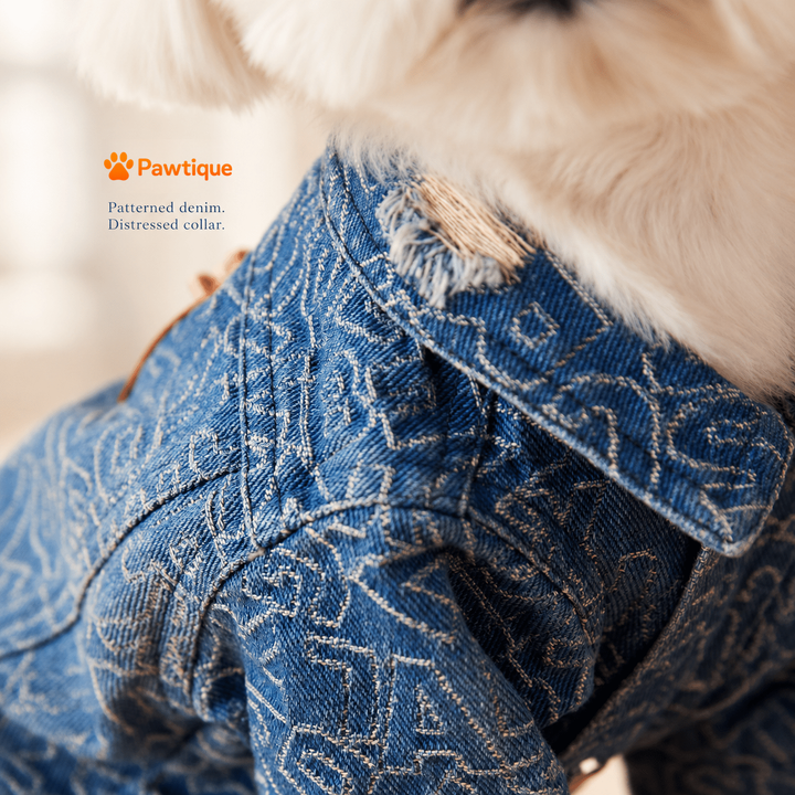 Patterned denim and distressed collar detail