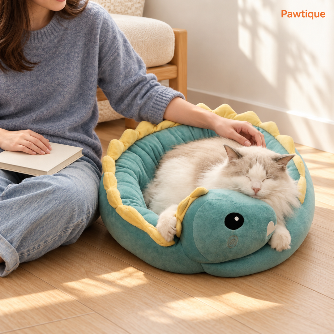 Owner gently petting a cat curled in the teal-green Dinosaur Bolster Pet Bed beside a reading chair.