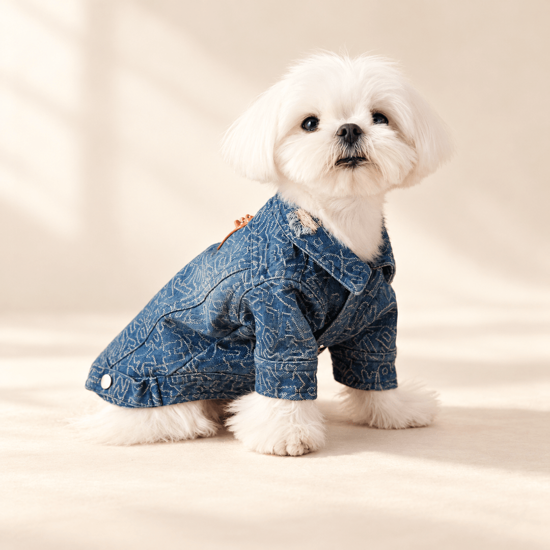 Pawtique Distressed Denim Dog Jacket - Pawtique
