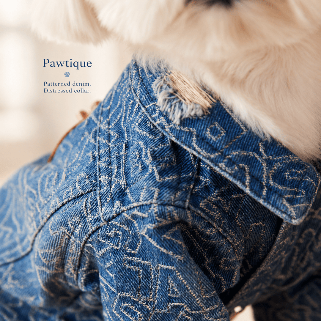 Pawtique Distressed Denim Dog Jacket - Pawtique